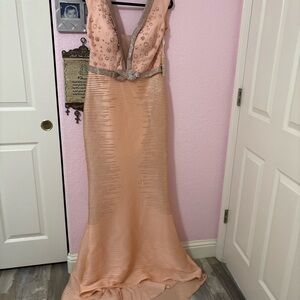 Adam Blush and Metallic Wedding Gown